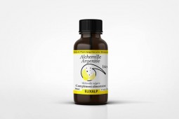 Alchemille Argentée BIO