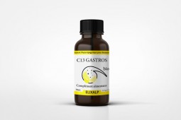 Gastros (C13) BIO